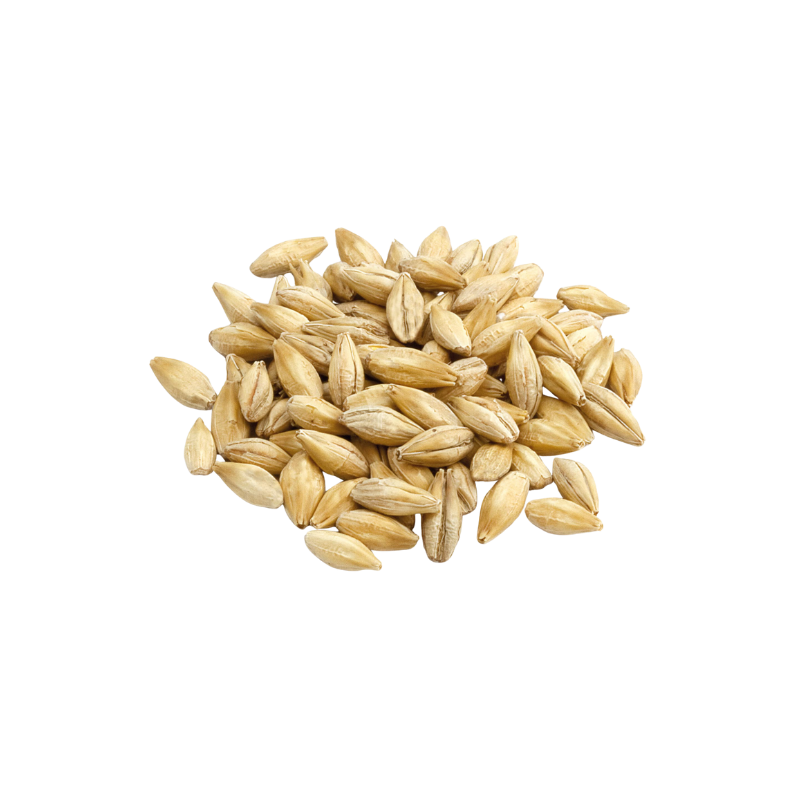 Malto Maris Otter Simpsons®