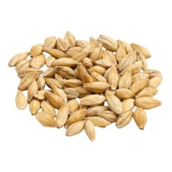 Malt Extra Pale Premium Pilsner Weyermann®