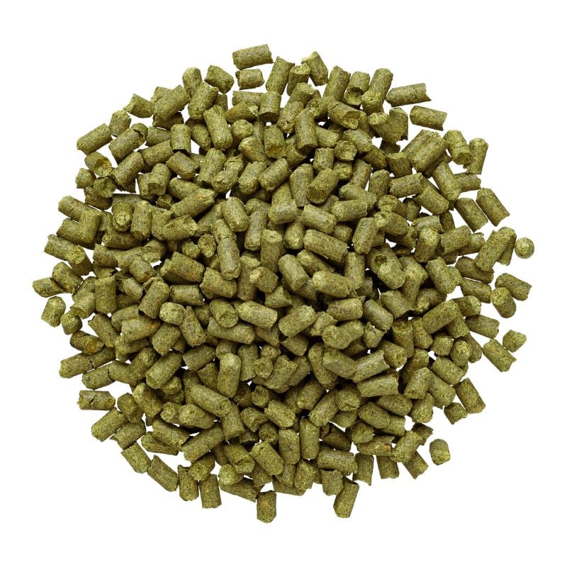 Houblon en pellets Saaz