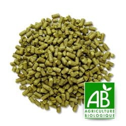 Houblon Mosaic BIO USA - 5KG