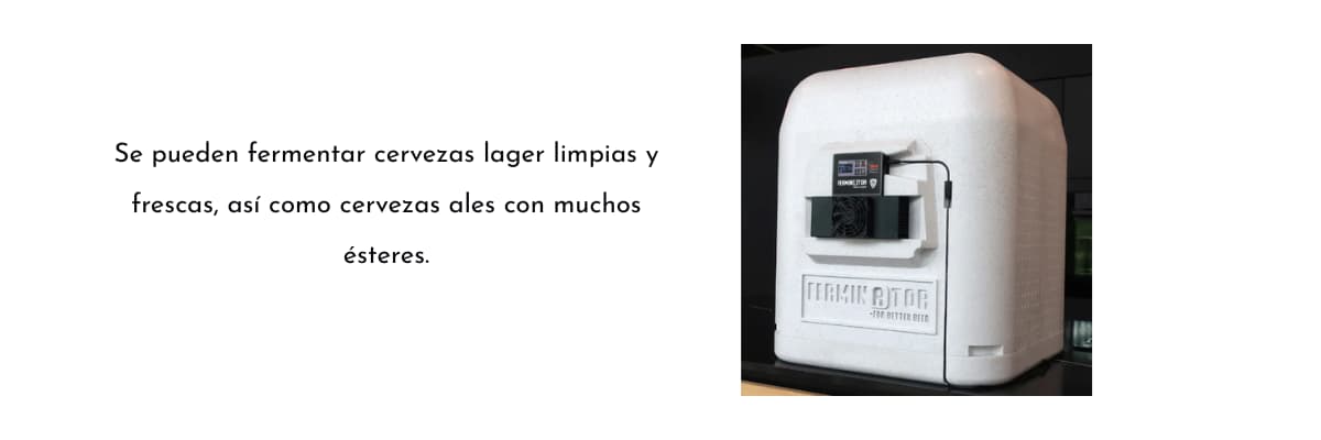 fercubator ale y lager