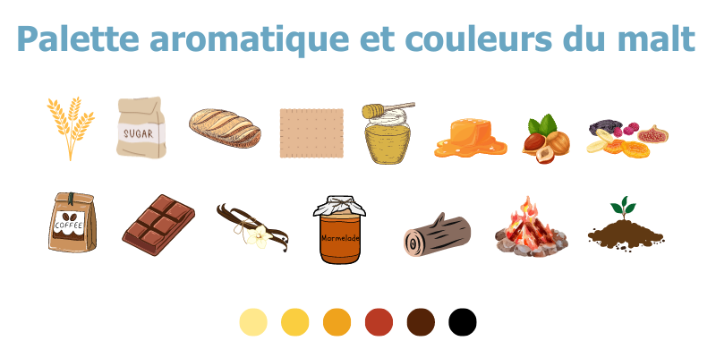 malt aromes