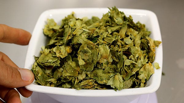 houblon