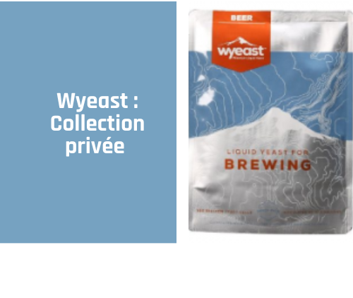 Collection privée wyeast