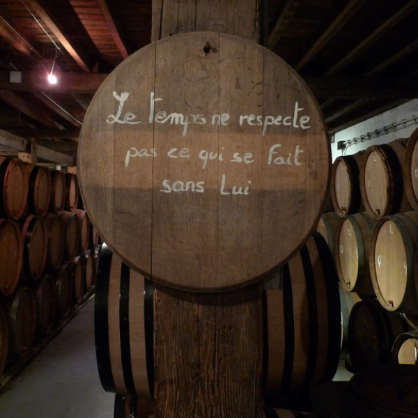 fut chene - cantillon