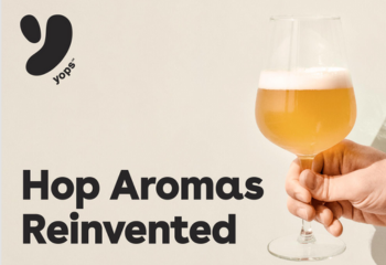 How Yops extracts Optimizes Aromas in NOLO Beers ?