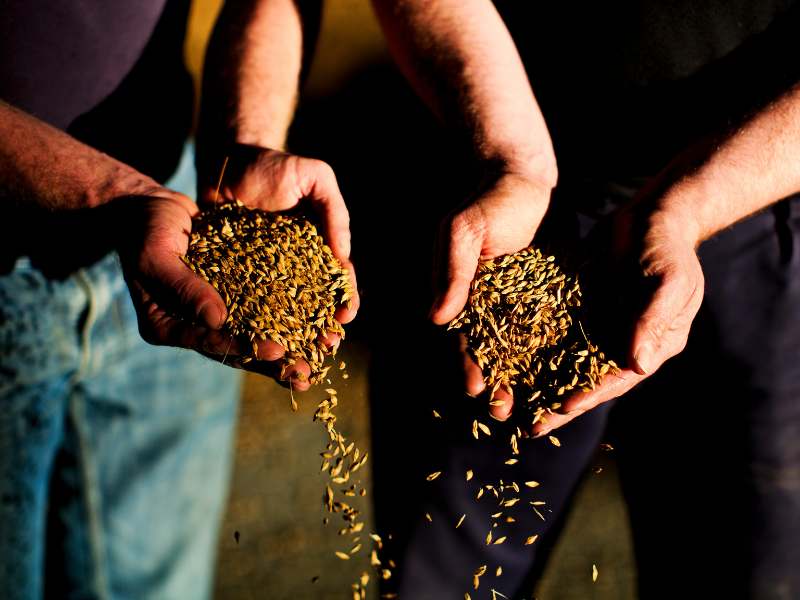 malts de bairds