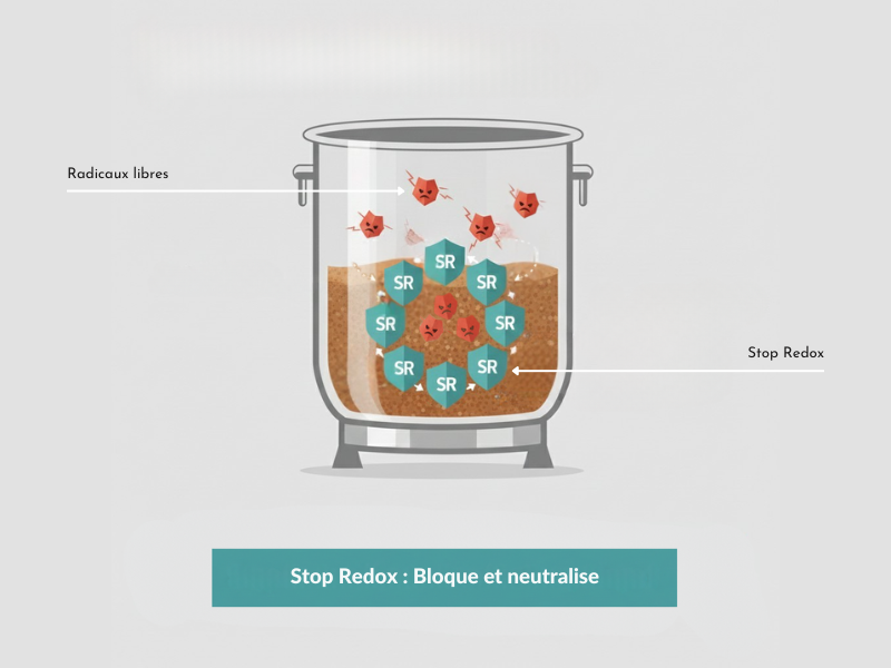 action du stop redox