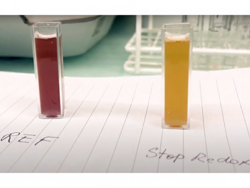 anti oxydation stop redox