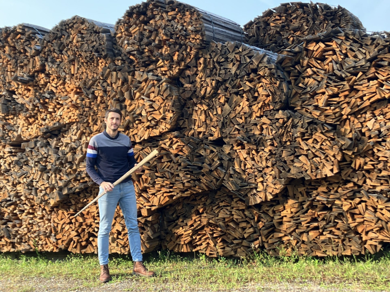 wood for oak chips