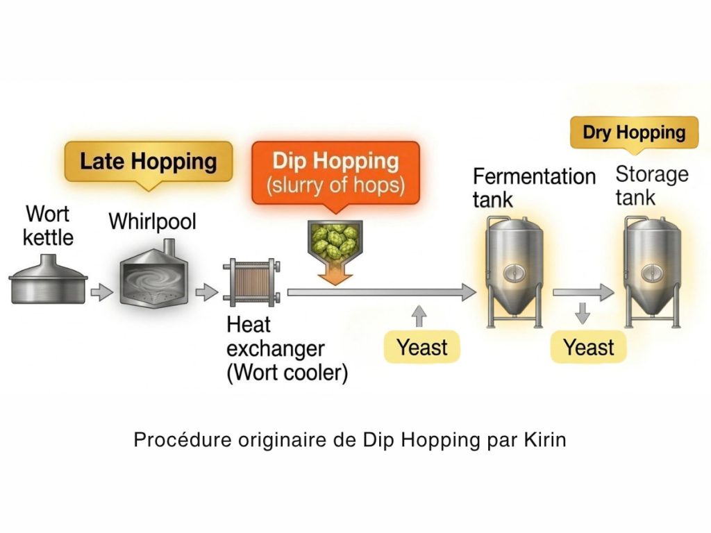 schema dip hopping