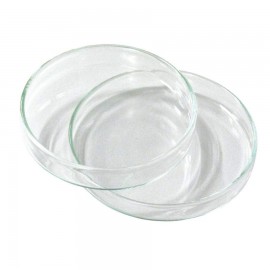 Starter y cultivo de levaduras