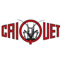 Criquet