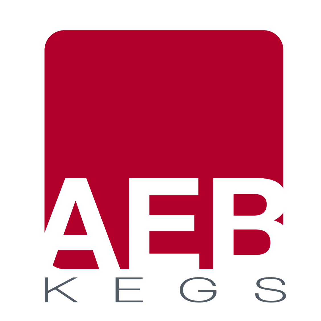 AEB Kegs