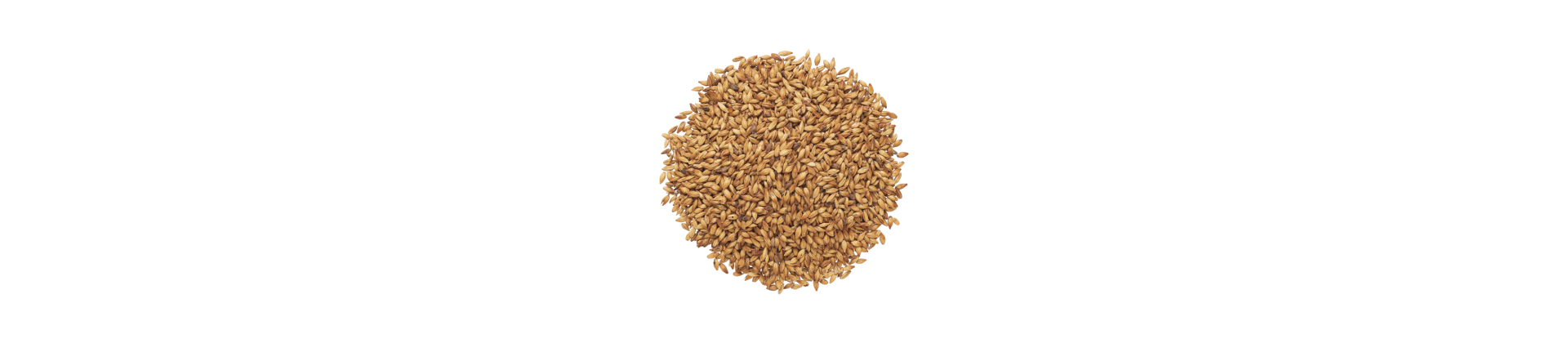 Malts